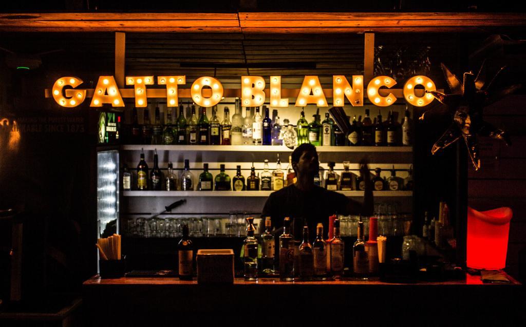 Gatto Blanco Party Hotel Panama City Exterior photo